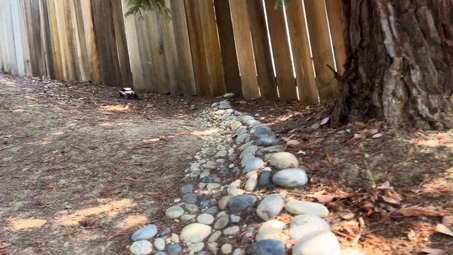 Traxxas TRX-4M Meus Ripper build climbing and bashing (full build in description) смотреть онлайн