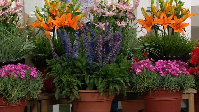 Cottage Farms 10-Piece Border Jewels Garden On QVC