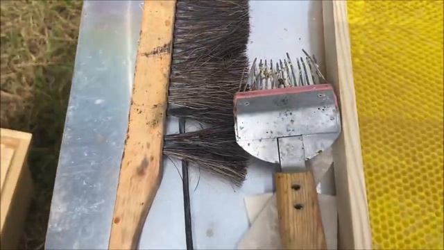 Пасека с нуля 22. Пластиковая вощина. Каток игольчатый Ежик. смотреть онлайн