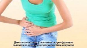 Все об анатомии и функциях печени человека