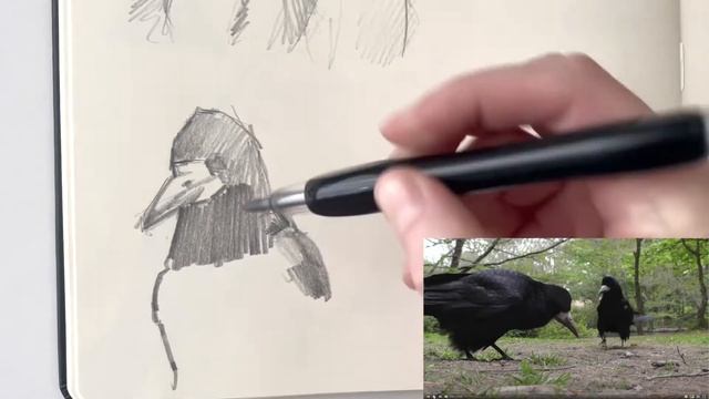 Daily practice routine of a watercolor artist (+ tips on creating your own) смотреть онлайн