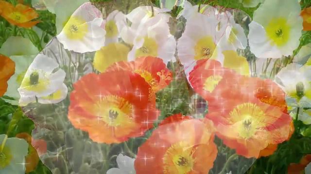 Замечательная музыка для медитации для души✨Мелодии нежной любви🌹Эту музыку можно слушать вечно🎶 смотреть онлайн