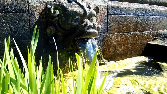 Nikon Coolpix S9200 Test Video смотреть онлайн