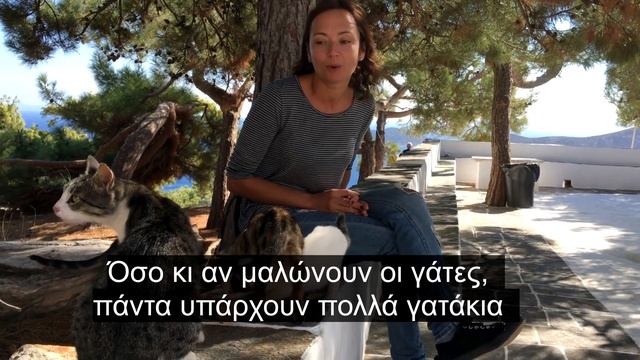 греческие слова и выражения 3 (вся правда о греческих котах) смотреть онлайн