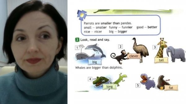 Spotlight 4 кл. (Спотлайт 4кл.)/ Урок 21 "Wild about Animals!" 8a стр. 62-63