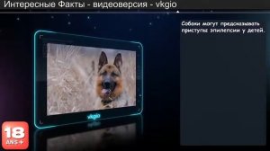 Интересные факты   Суп из младенцев, или  Что едят китайские аристократы !