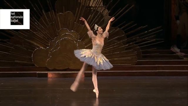 Victoria Ananyan Blue Bird Variation смотреть онлайн