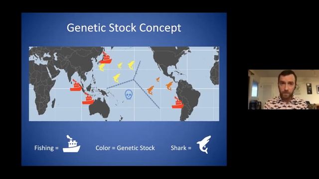"The grainy fisheries management of the Silky Shark, a genetic perspective" смотреть онлайн