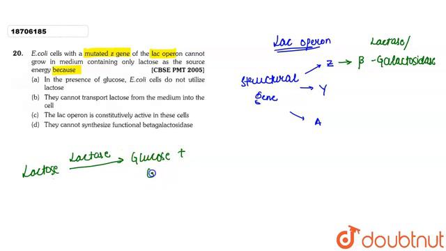 E.Coli cells with a mutated z gene of the lac operon cannot grow in medium containing only смотреть онлайн