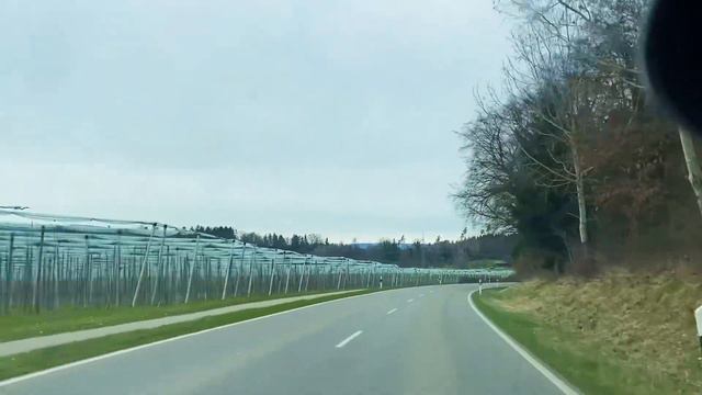 Ортопеды в Германии Как помогают страховые компании Нельзя ходить голодным в магазин #блогер смотреть онлайн