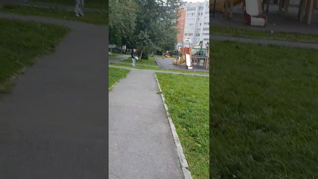 гонка смотреть онлайн