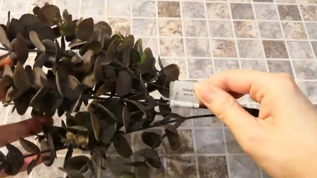 Обзор покупок из магазина Планета Мыла + распаковка посылки с сайта Самоварочка смотреть онлайн