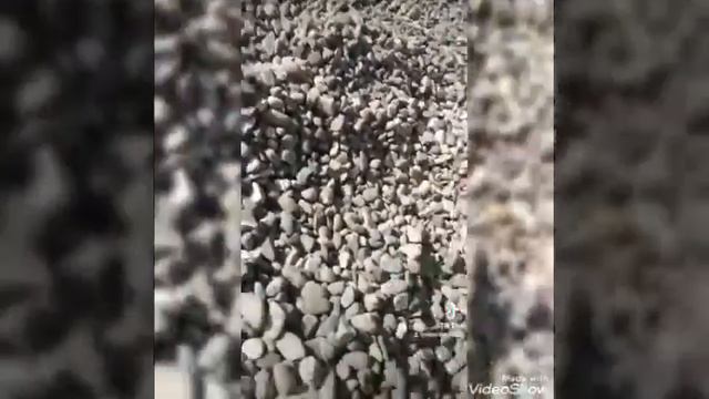 Desmond Amazing TikTok смотреть онлайн