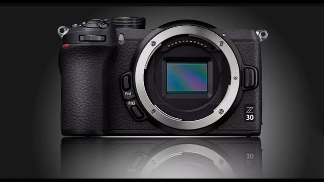 Nikon To Release Affordable Entry-level Camera With 