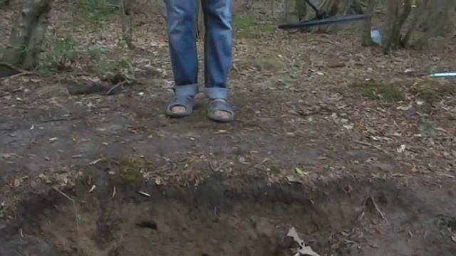 AKA Signum 7272 MFD смотреть онлайн