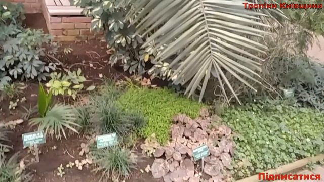 Выставочный центр Flora Olomouc