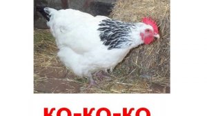 Животные кто как делает звук