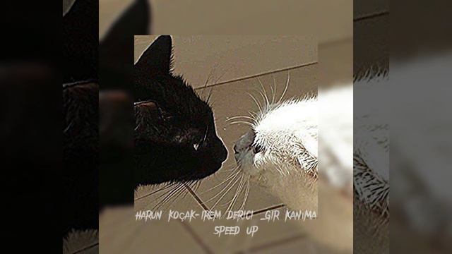 Harun Koçak-irem Derici_gir Kanıma (speed Up)