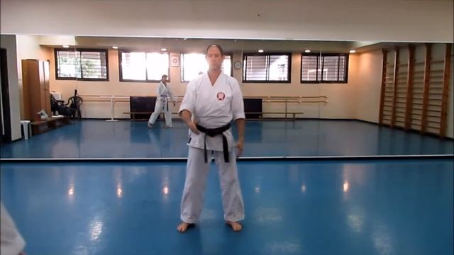 Okinawan Karate - interview with Itzik Cohen Sensei смотреть онлайн