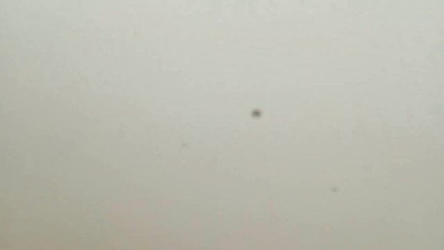 Как просто убрать плесень в душевой смотреть онлайн