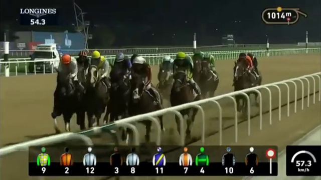 КАБИРХАН очередной раз выиграл 1 место 🥇🐎 DUBAI WORLD CUP #кабирхан #dubai #dubaiworldcup #скачки