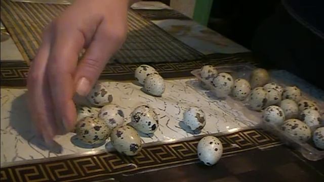 Отбор перепелиных яиц на инкубацию. 26.01.18 смотреть онлайн