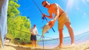 КАК В РАЮ! Рыбалка с ночёвкой 2 часть СИБИРИЯ