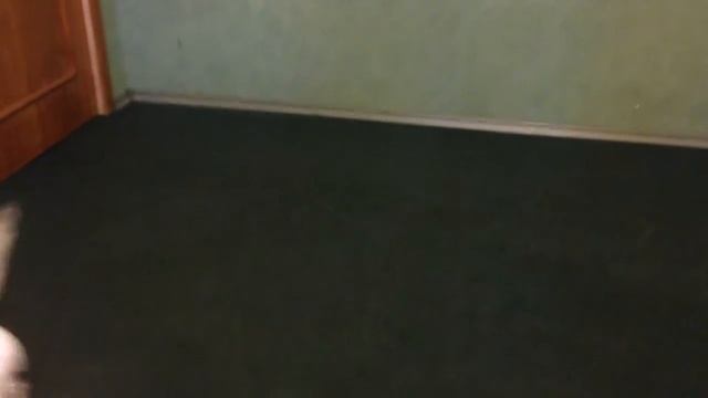 Пистолет ручной