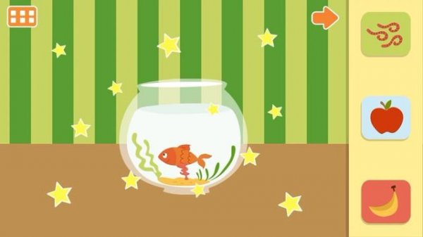 Feed The Animals ? ? ? | ABC Animal Adventures