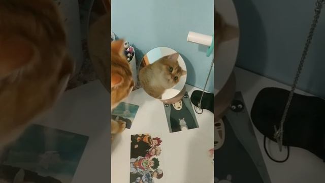 фотографируй глазами. смотреть онлайн