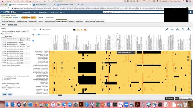Anchor and download heatmap data смотреть онлайн