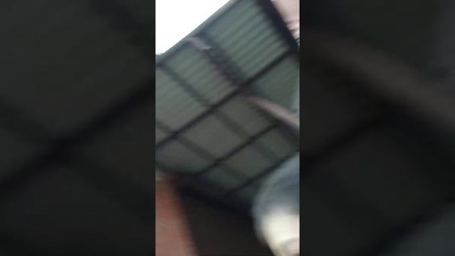 у меня украли кепку что мне делать смотреть онлайн