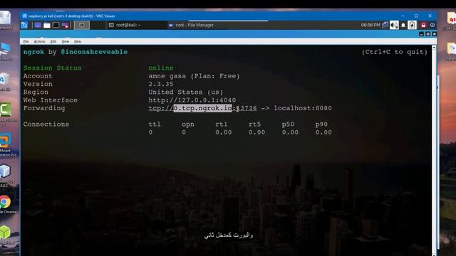 spy java program based on the socket over the internet using ngrok смотреть онлайн