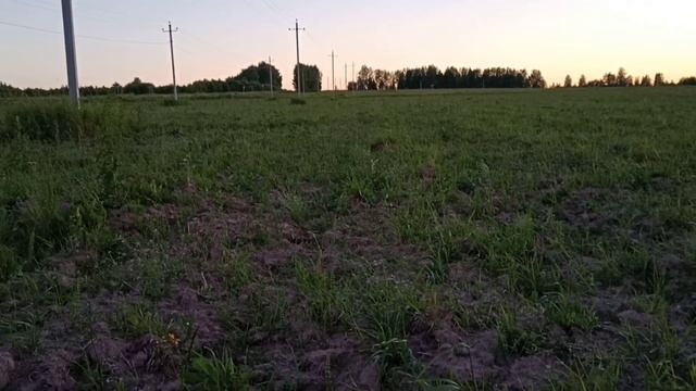 пошурфили чешуи,походили по верхам смотреть онлайн