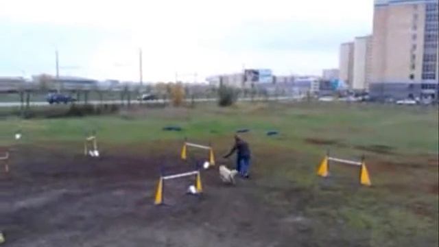 тренировка 6 октября 2012 года смотреть онлайн