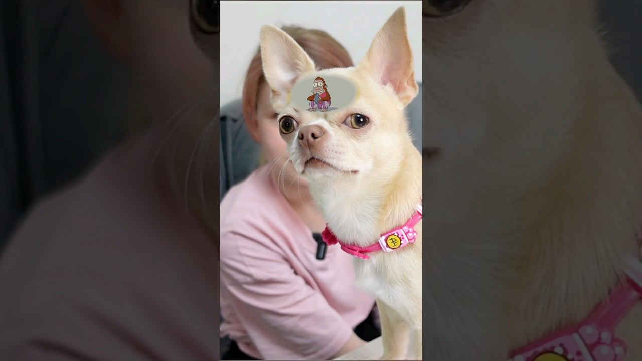 Будешь помогать? ⬆️ ПОЛНЫЙ РОЛИК НА КАНАЛЕ #викаgo #распаковка смотреть онлайн