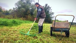 ОНА СПАСАЕТ ВСЕ НАШЕ ХОЗЯЙСТВО. ЕСТЬ ЧТО КУШАТЬ ДО ЗИМЫ. ЛЮЦЕРНА В ДЕРЕВНЕ. ЖИЗНЬ ПРОСТЫХ ЛЮДЕЙ.