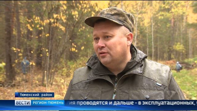 Акция «Живи, лес!» состоялась в Тюмени смотреть онлайн