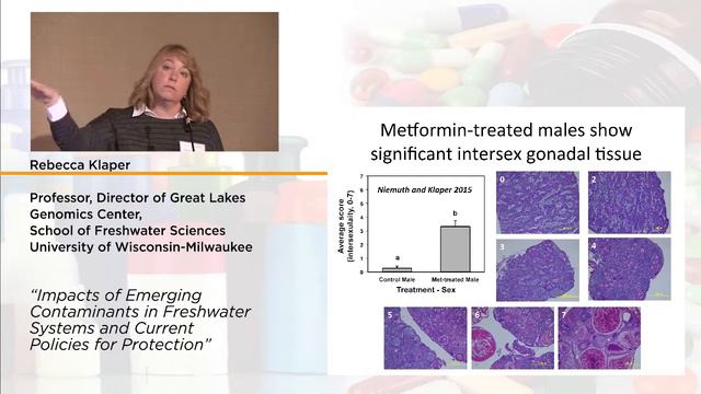 More than Hormones: Endocrine Disrupting Impacts of Emerging Contaminants and Potential Solutions смотреть онлайн