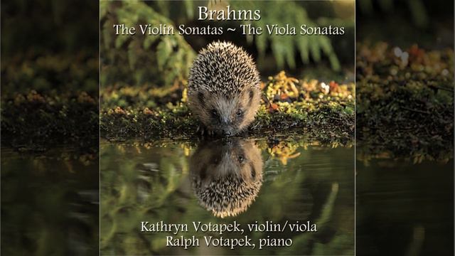 Viola Sonata No. 2 in E-Flat Major, Op. 120 No. 2: II. Allegro appassionato смотреть онлайн