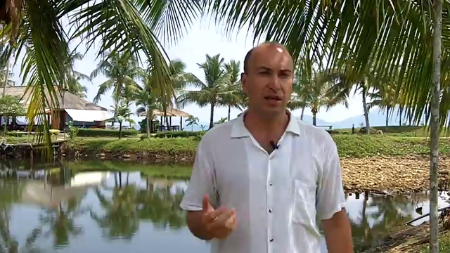 Как написать свою первую книгу? 