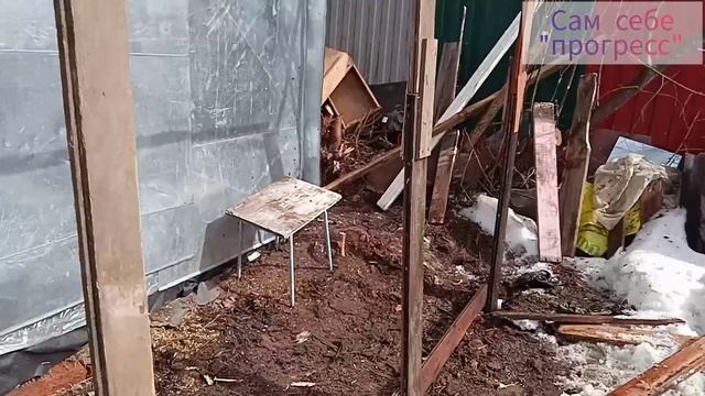 курятник и выгул для кур