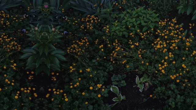 °|Окей, назовëм это видео "Фотографии"°|°Хех°| смотреть онлайн