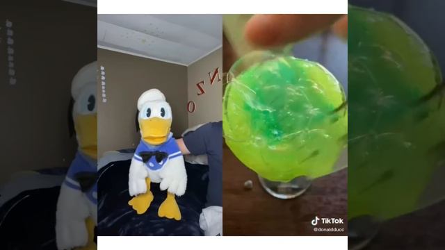 Funny Donald Ducc Videos Of 2020 (Part 1)