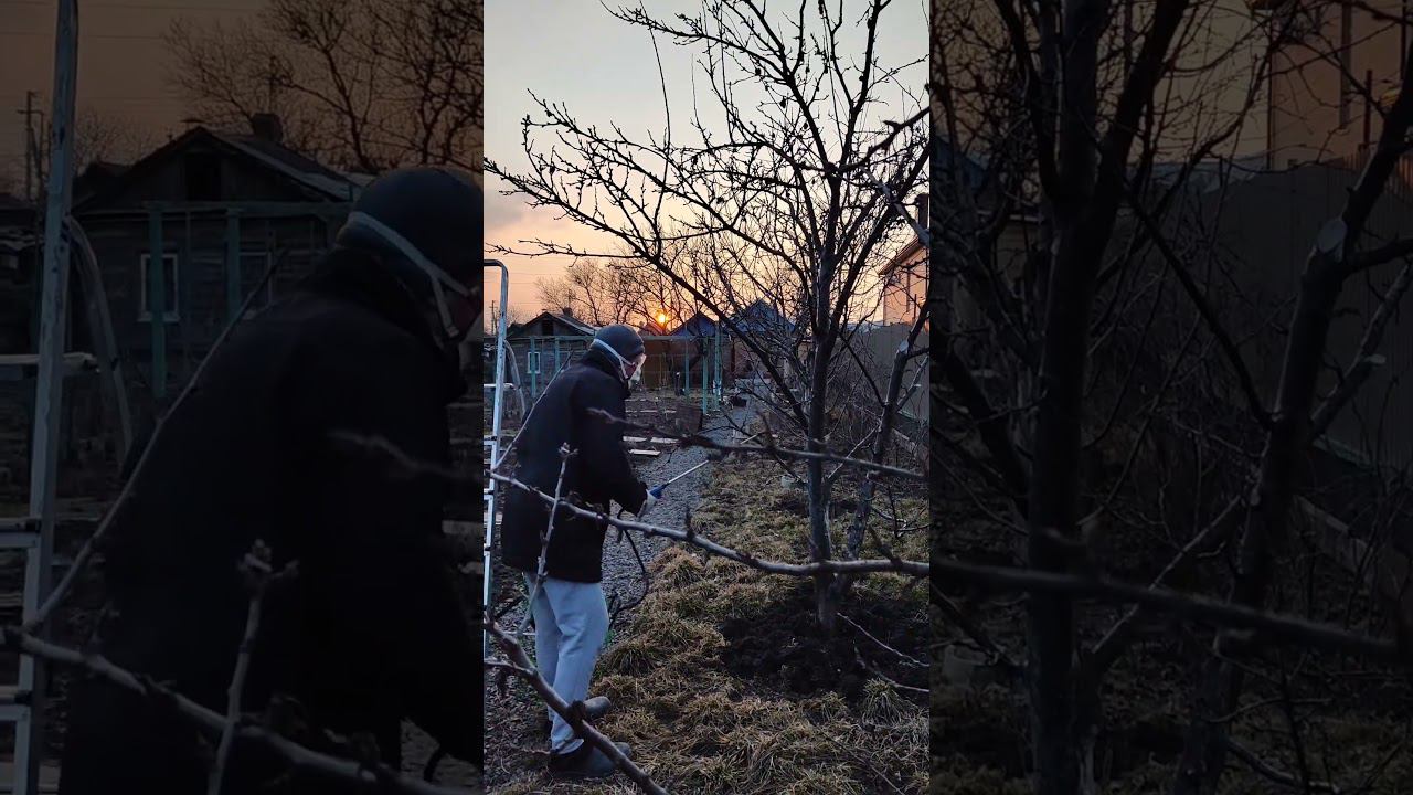 будни каждого розовода RoseBushes.ru смотреть онлайн