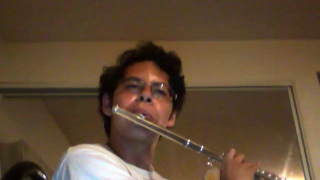 Flute Cover: Hatsune Miku- Electric Angel смотреть онлайн