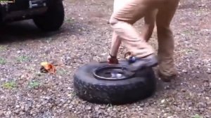 Чем бескамерная шина лучше камерной шины, и в чем их отличия