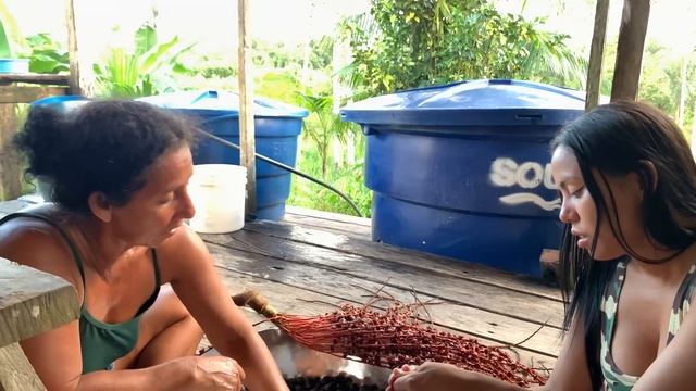 FORMIGAS TARACUÁ ATACARAM MEU IRMÃO NO PÉ DE ABACABA/FIZEMOS "VINHO" DE ABACABA/AMAZONAS. смотреть онлайн