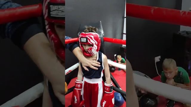 клубные соревнования по боксу в Домодедово среди детей смотреть онлайн