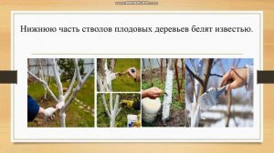 Труд людей весной